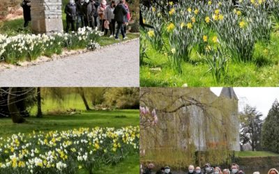 Semaine internationale contre le cancer