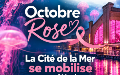 Octobre Rose : La Cité de la Mer se mobilise aux côtés de Presqu’île en Rose